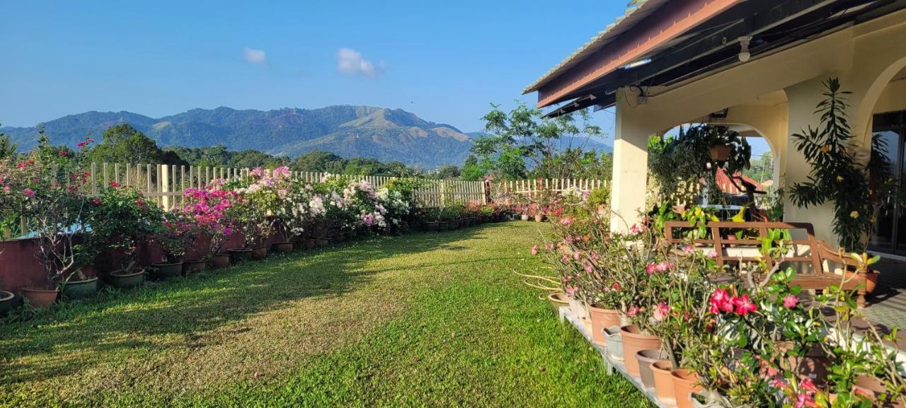 Mountain View Guest House Kb Kota Belud Exterior photo